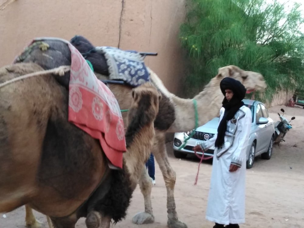 Фото Authentique Riad M'hamid