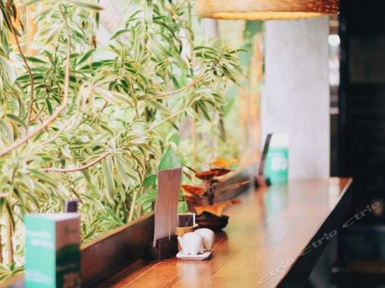 Фото Grandmas Plus Hotel Airport