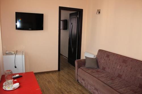 Фото Дельфин