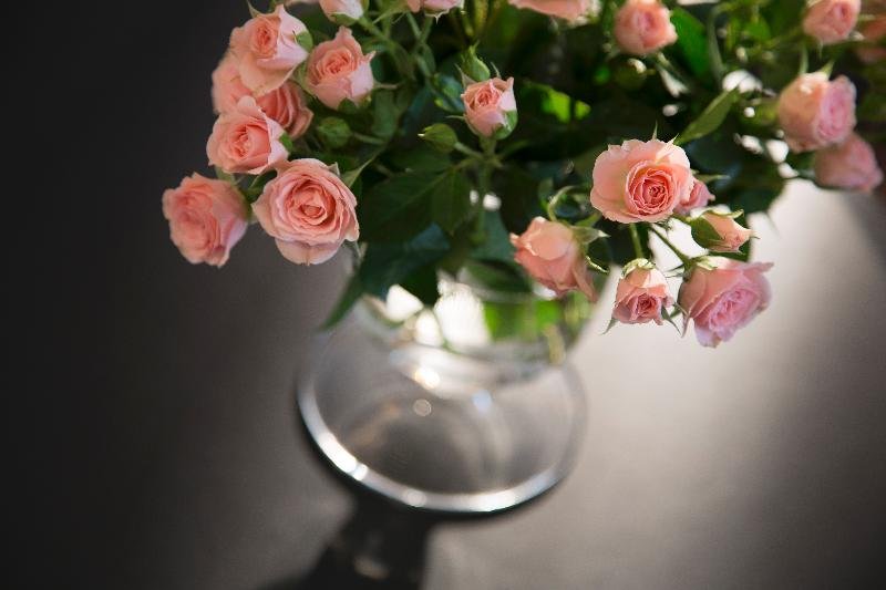 Фото Hôtel Ares Paris