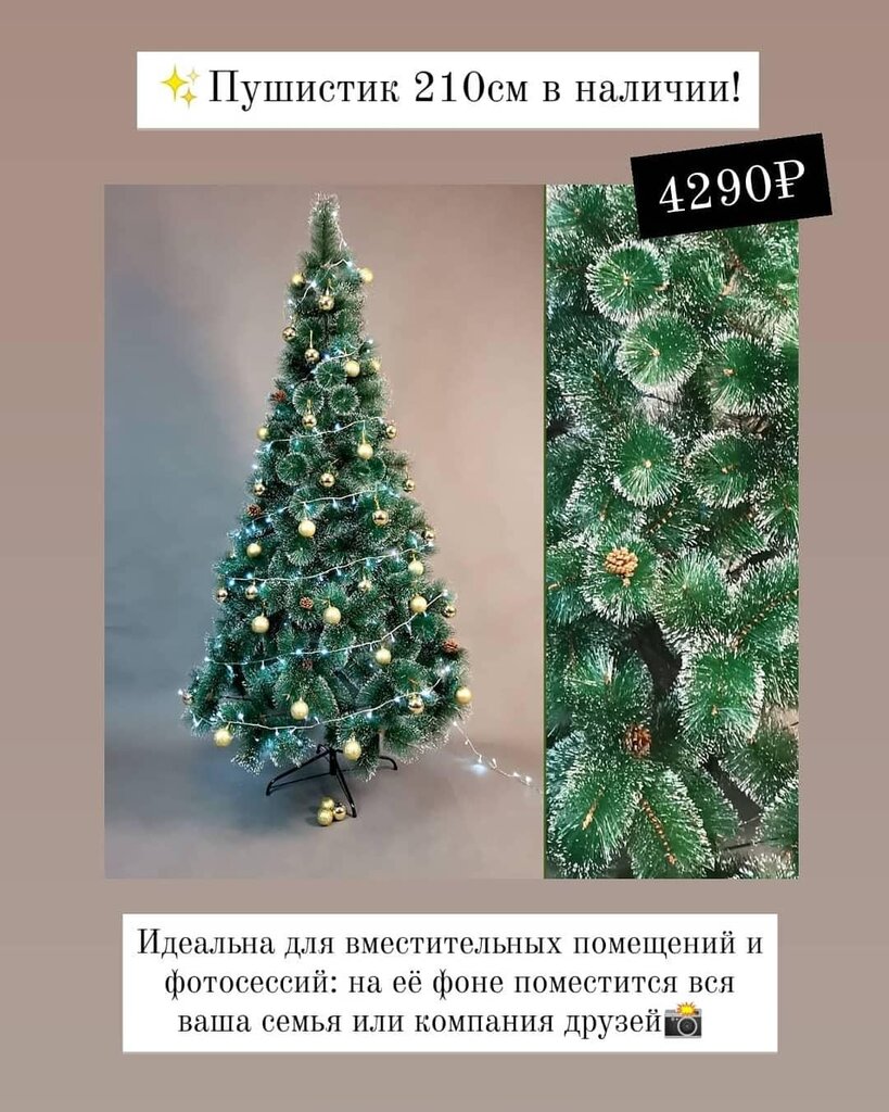 Магазин Елок В Белгороде