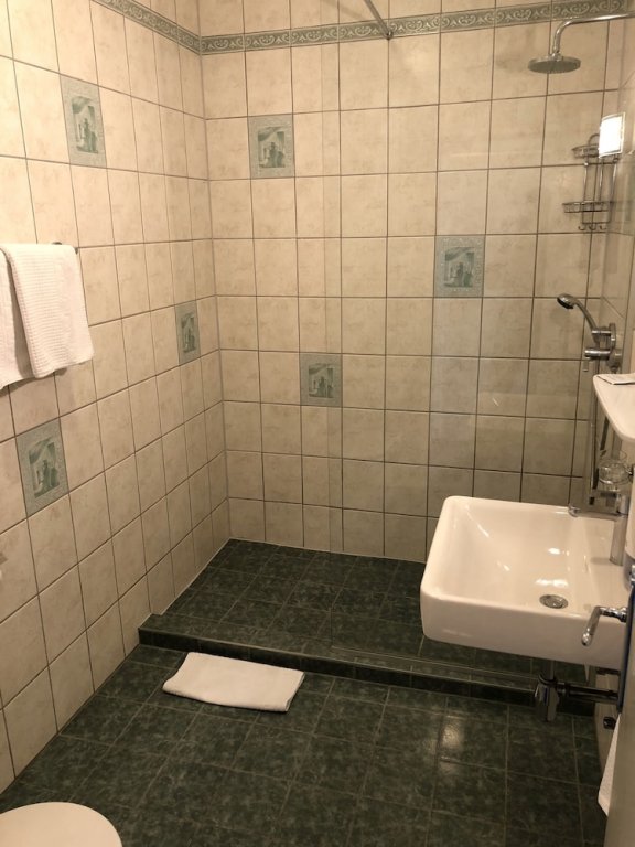 Фото Hotel Goldene Spinne