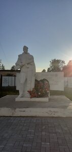 Воинам, павшим в годы Великой Отечественной войны 1941-1945 гг. (Vologda Region, Vashkinskiy munitsipalny okrug, posyolok Novokemskiy, Tsentralnaya ulitsa) ، نصب تذكاري للحرب، مقبرة جماعية