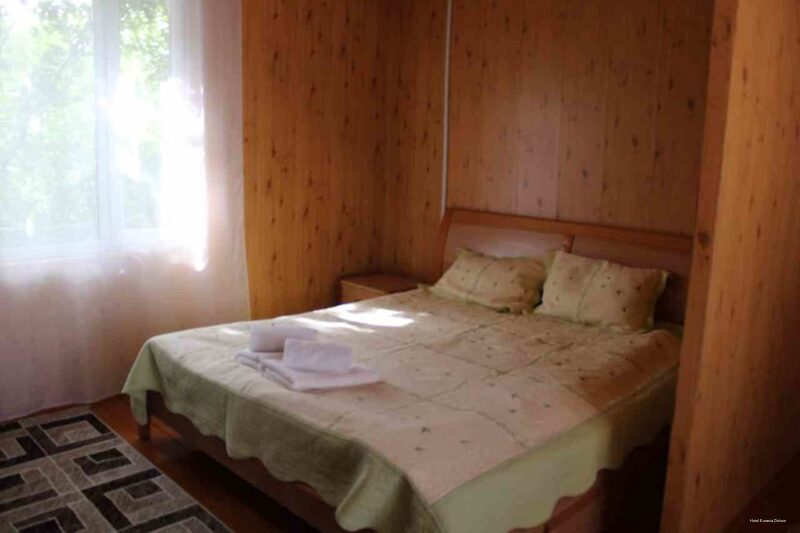 Фото Евразия Делюкс