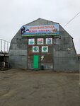Alma (Mayakovskogo Street, 39С), tienda de animales