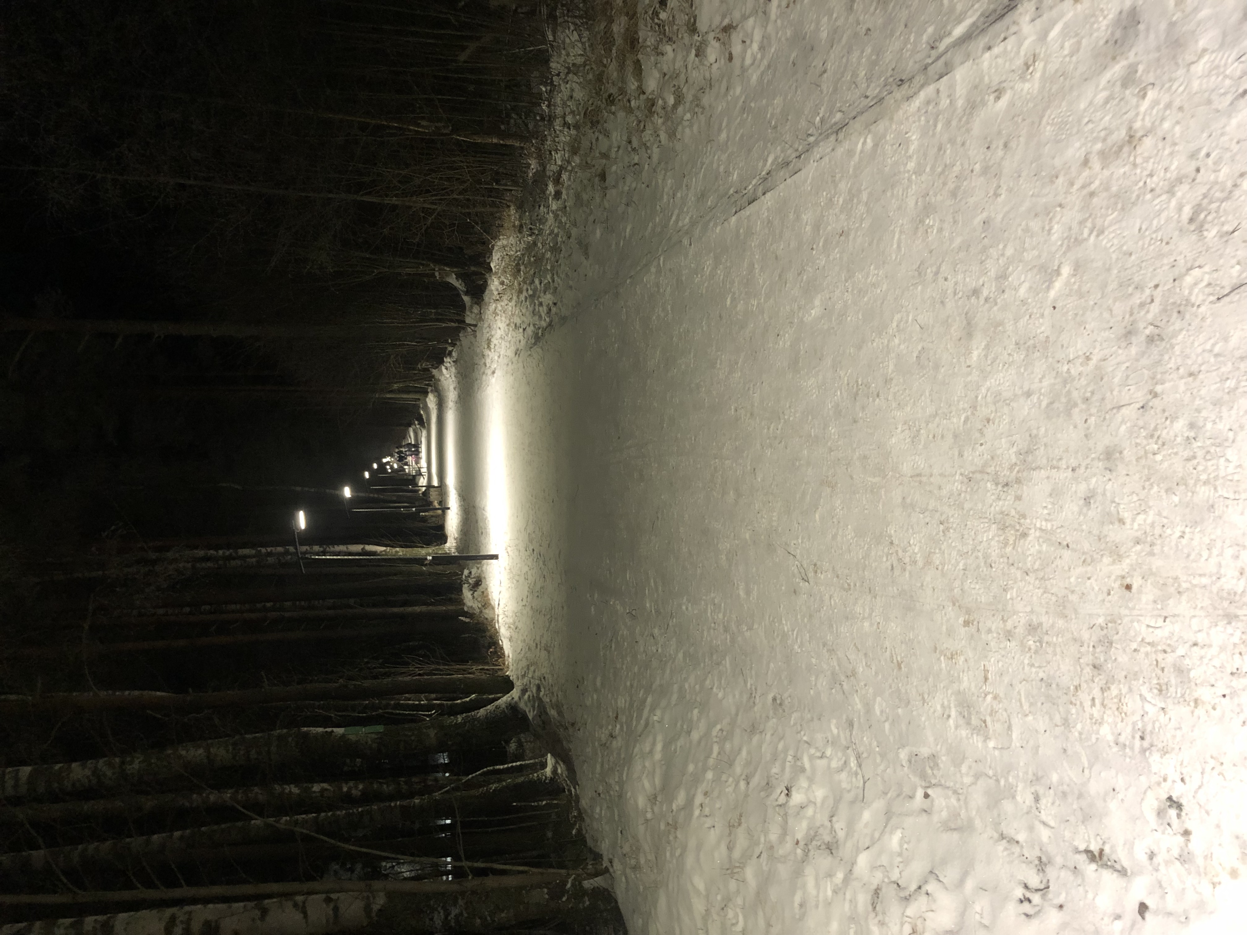 Фото Мичуринский дворик