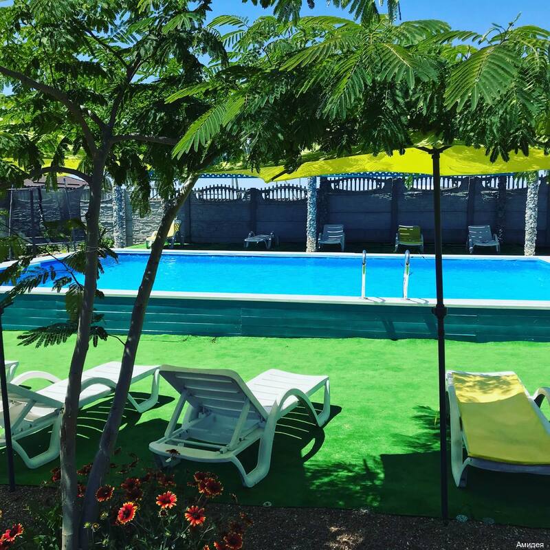 Фото Амидея