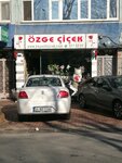 Ozge Cicekcilik (İstanbul, Fatih, Şehsuvar Bey Mah., Kadırga Parkı), flower shop