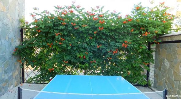 Фото Тихая гавань