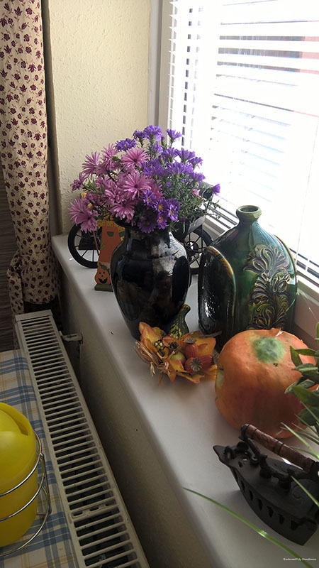 Фото Boulevard City Pension and Apartments