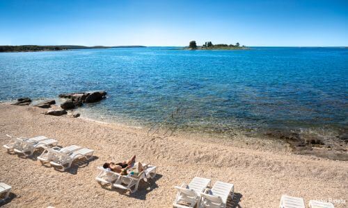 Фото Maistra Select Pineta Hotel