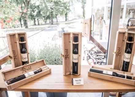 Фото Hotel Maestoso