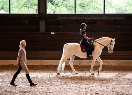 Фото Hotel Maestoso