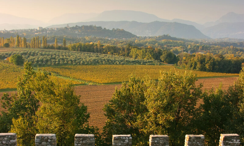 Фото Hotel Castiglione