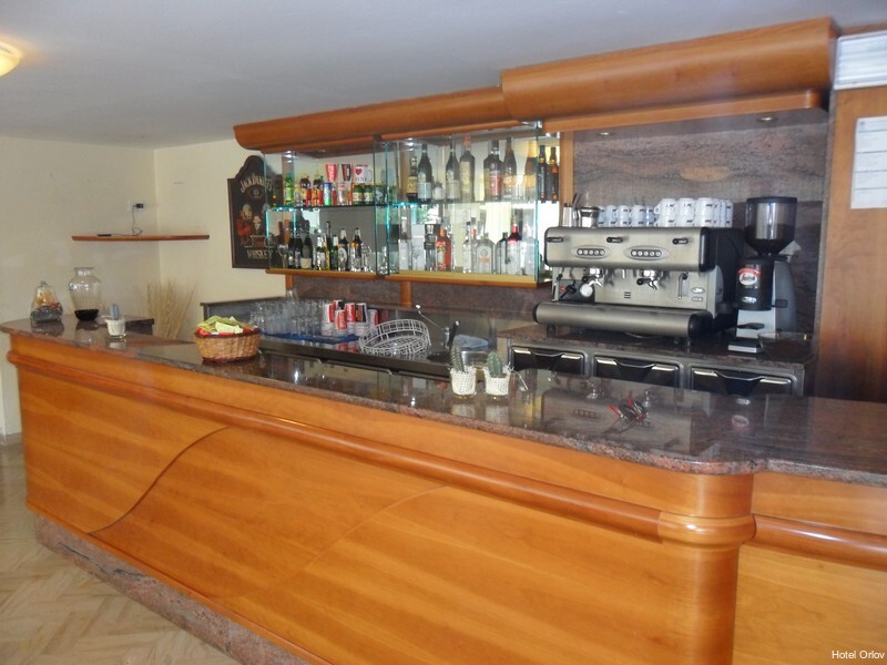 Фото Hotel Orlov