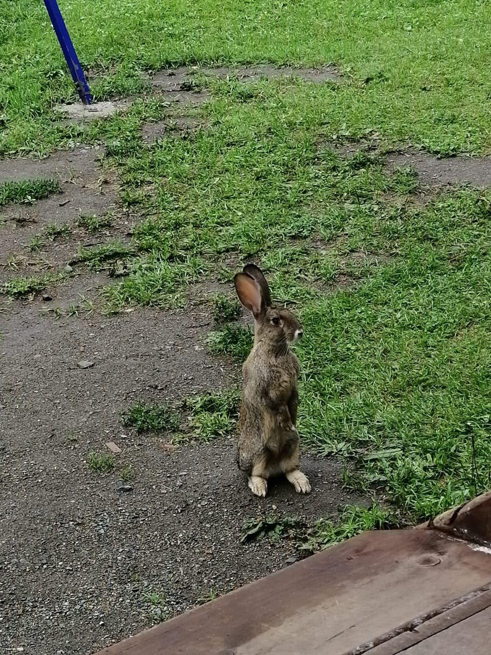 Фото Усадьба Reka