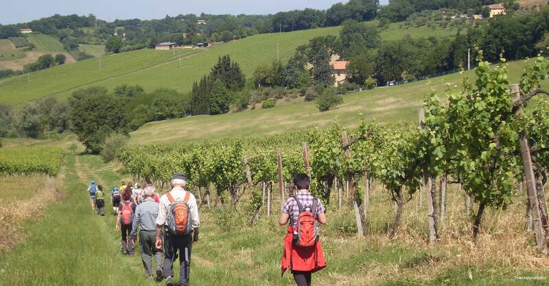 Фото Imperial Sport