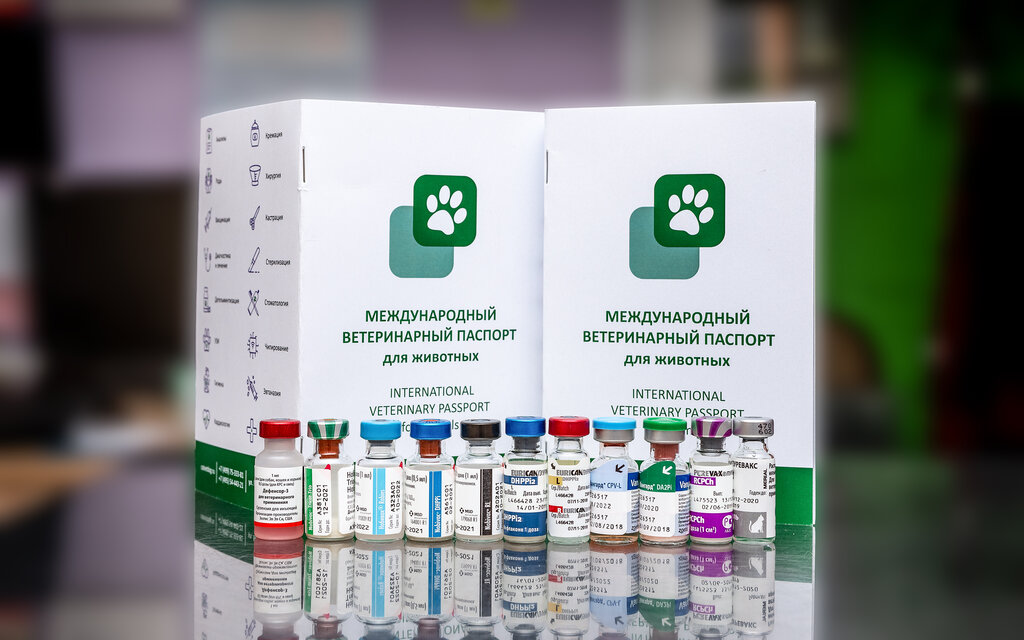 Veterinary clinic CatVetDog, Moscow, photo