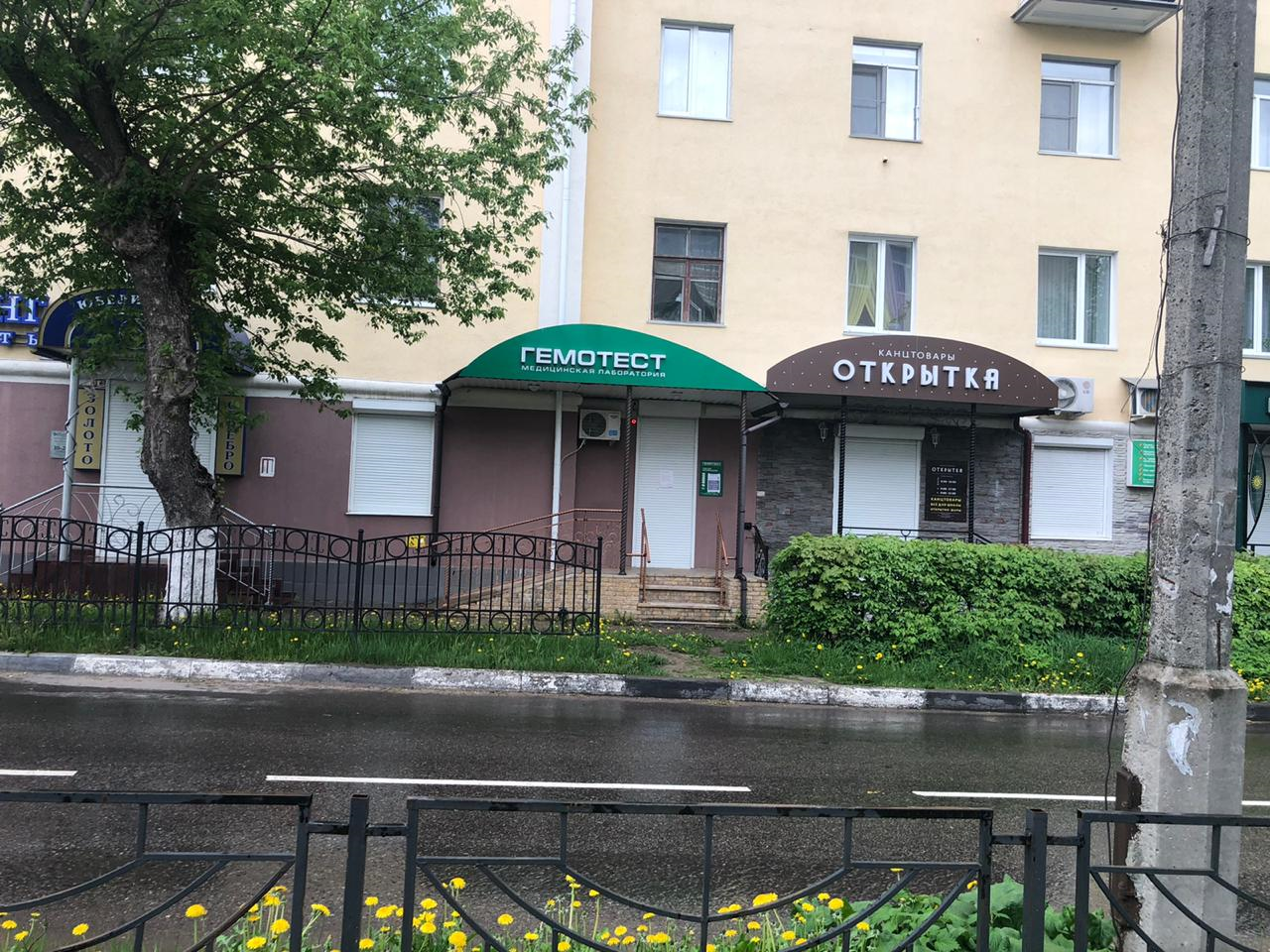 Доктор калач ул гагарина 37 1 фото