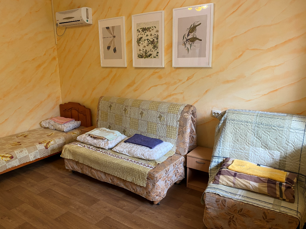 Фото Дельфиниум