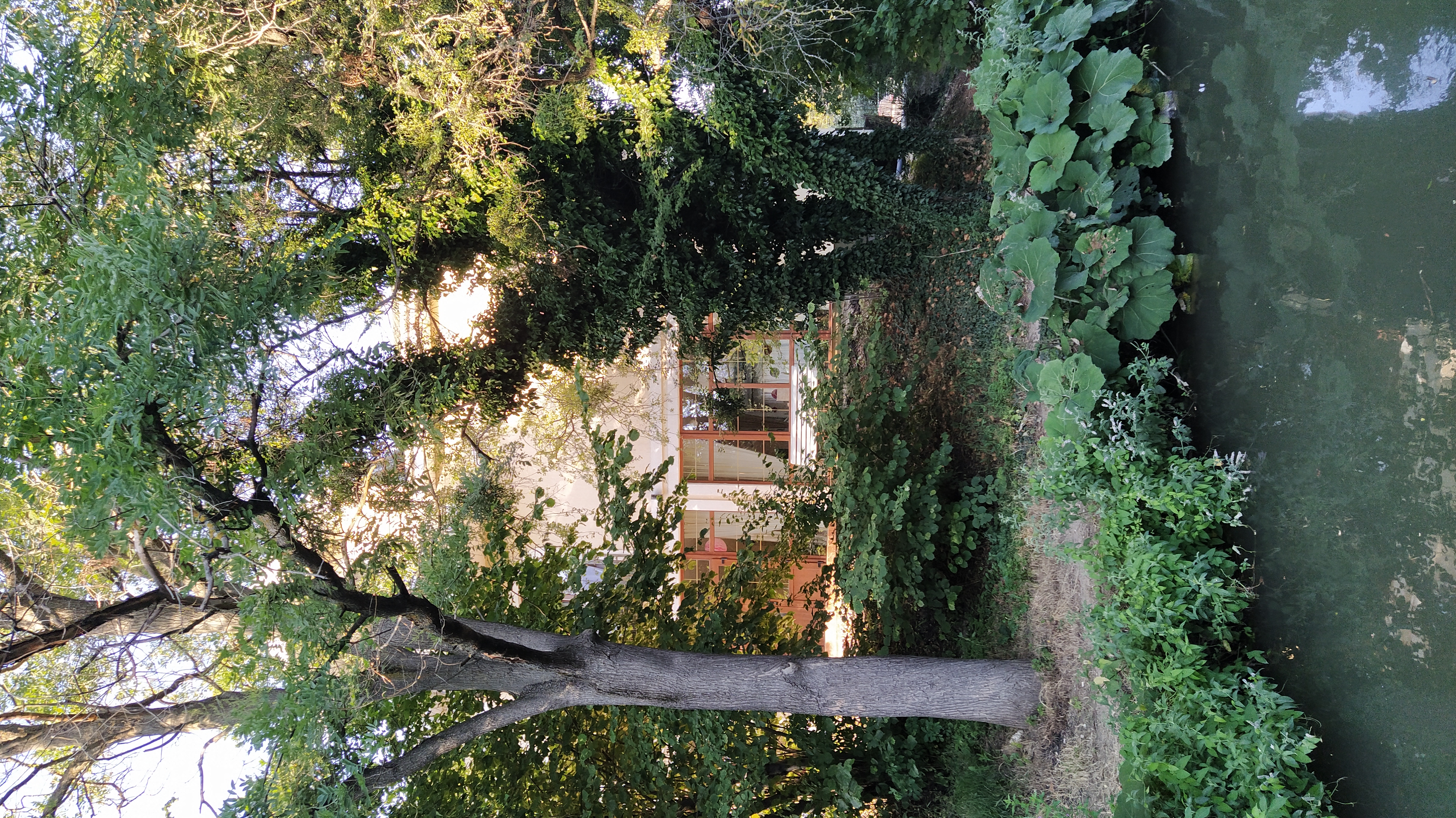 Фото Ангара