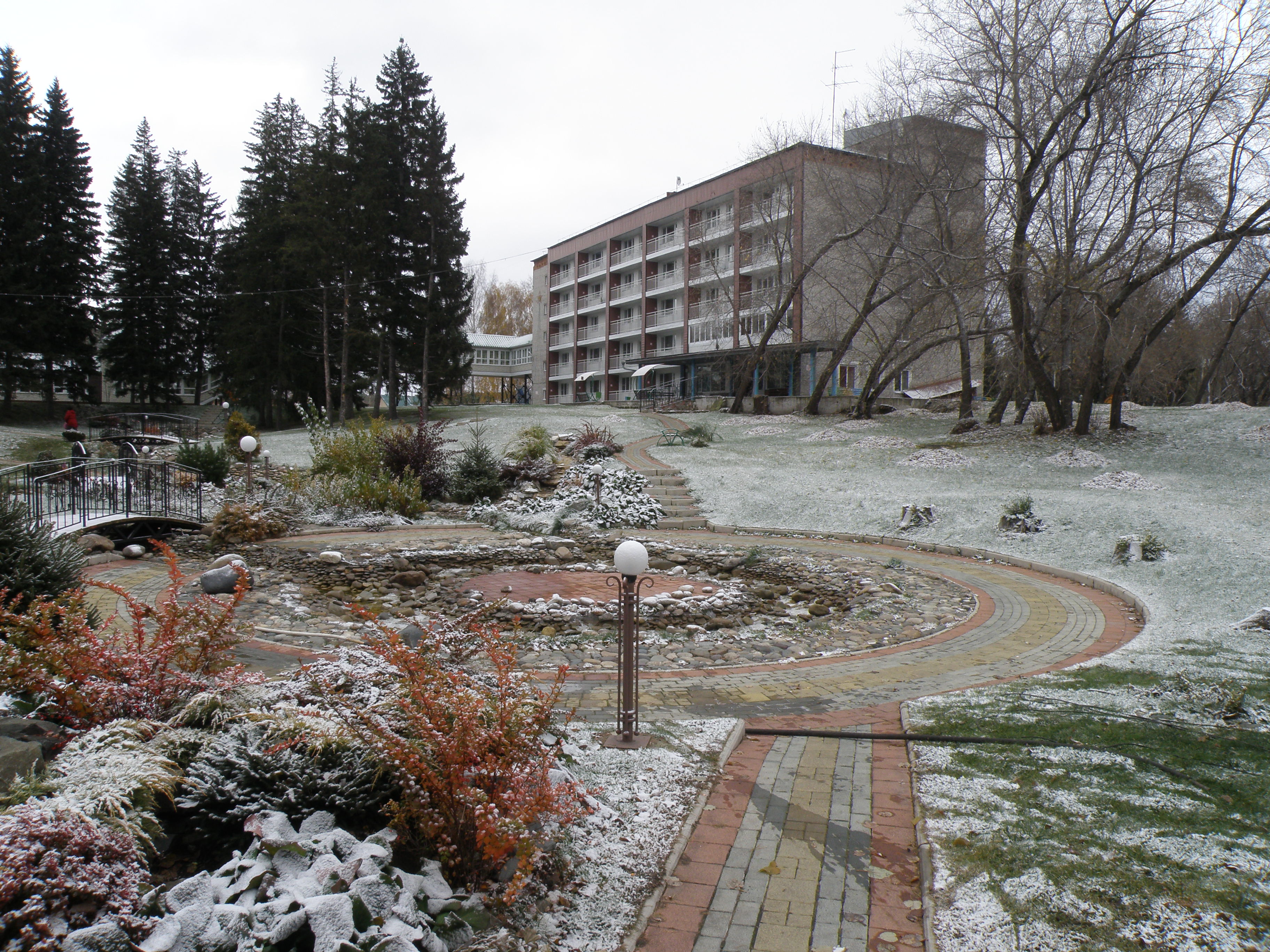 Фото Сосновый бор