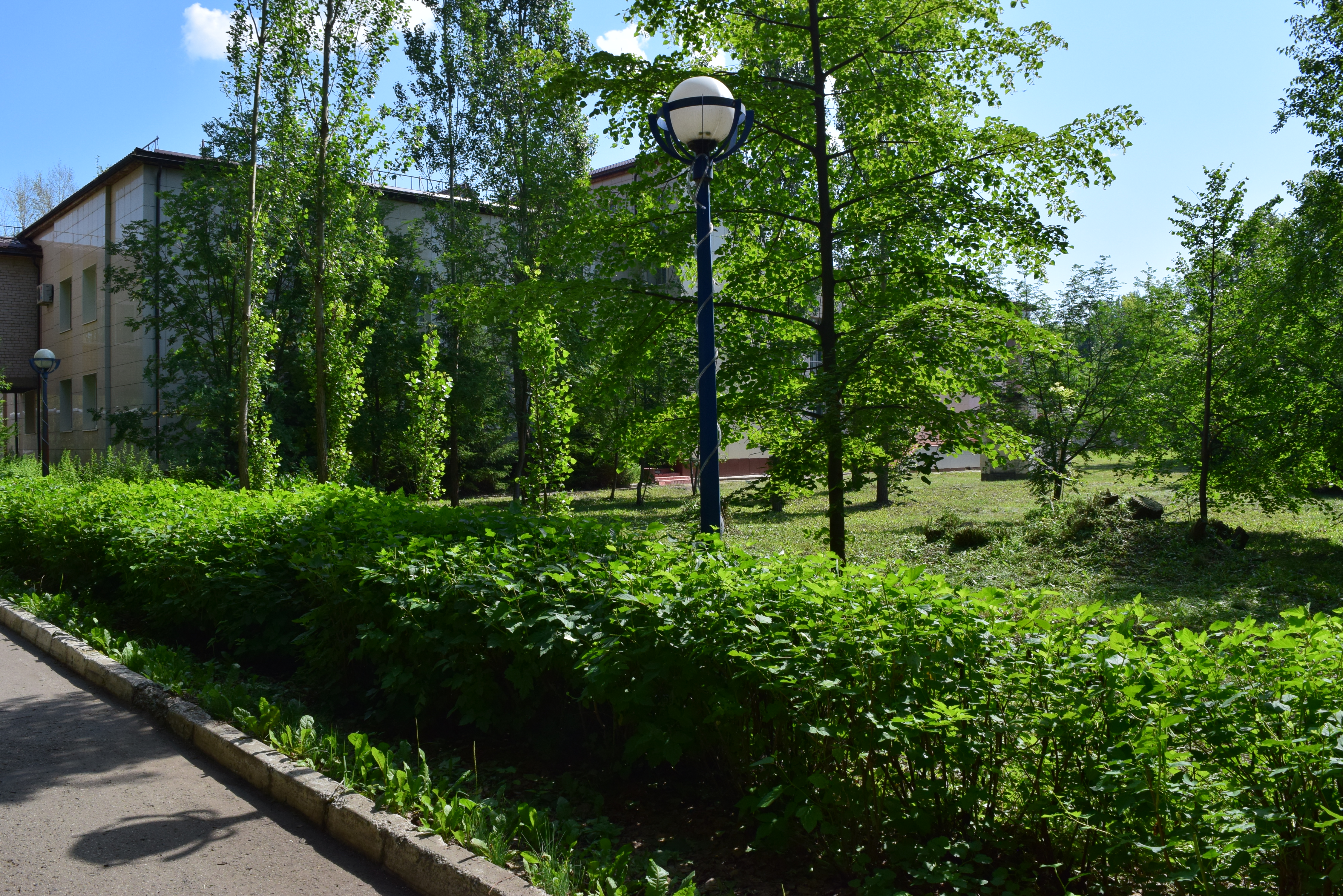 Фото Жемчужина