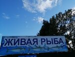 Живая Рыба (derevnya Maryino, 2), tienda de productos