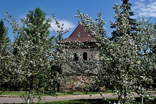 Фото Крутушка