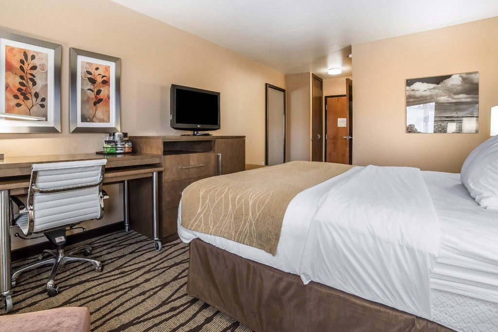 Фото Comfort Inn & Suites Market - Airport