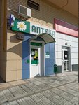 Аптека низких цен (Generala Yepisheva Street, 19), pharmacy