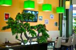 Сушия (Andriia Malyshka Street, 3А), sushi bar