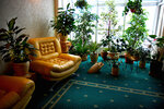 Rubin (Chekhova Street, 85), hotel