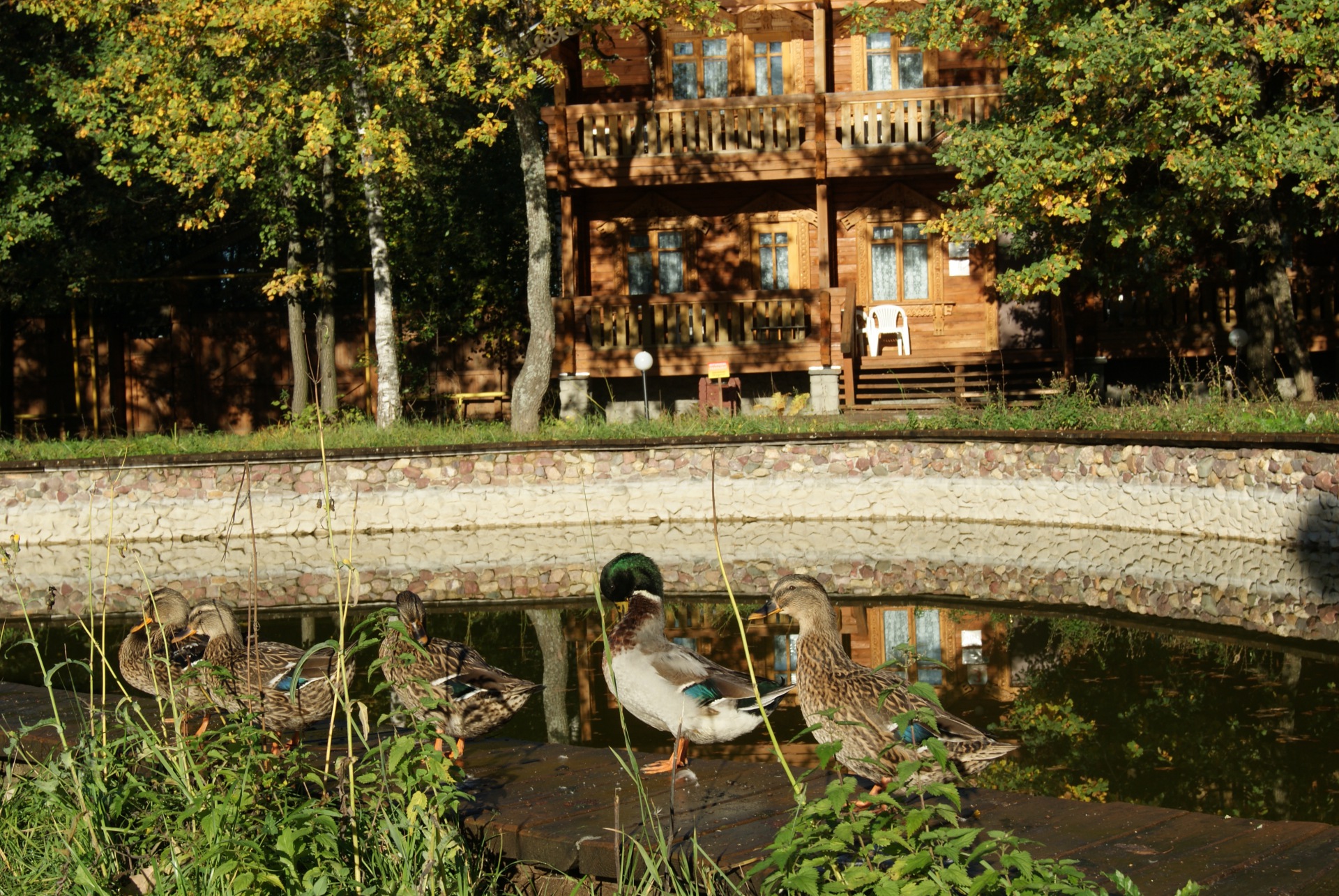 Фото Русская Деревня