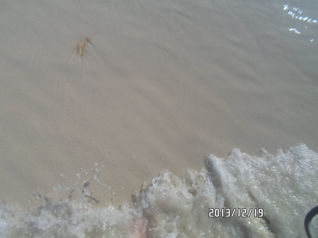 Фото Camelot Hotel Pattaya