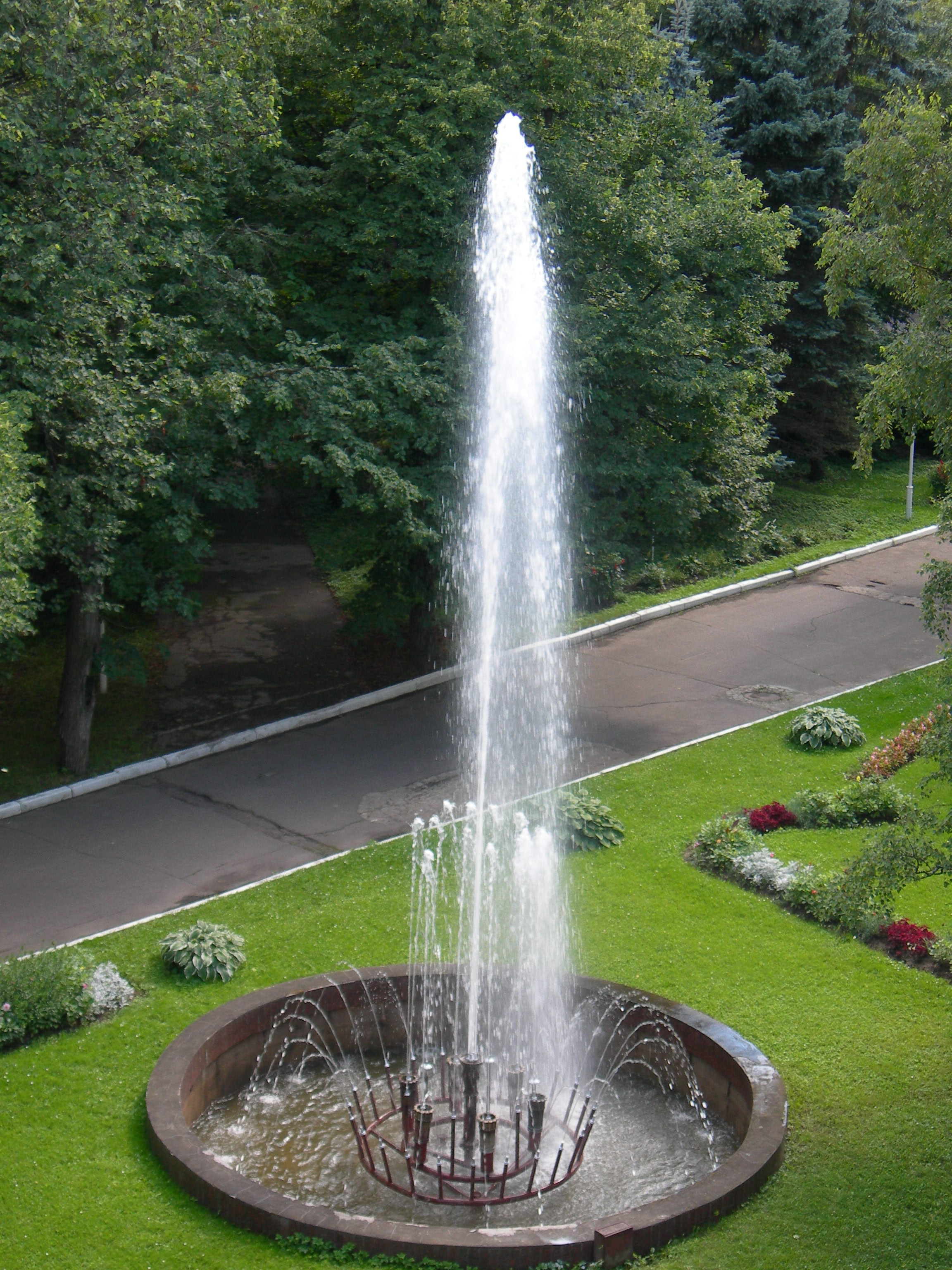 Фото Шереметьевский