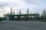 Sentosa Oil (Кривий Ріг, вулиця Бикова, 31), gas station