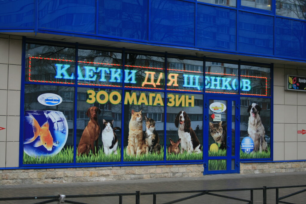 Pet shop Amazon, Saint Petersburg, photo