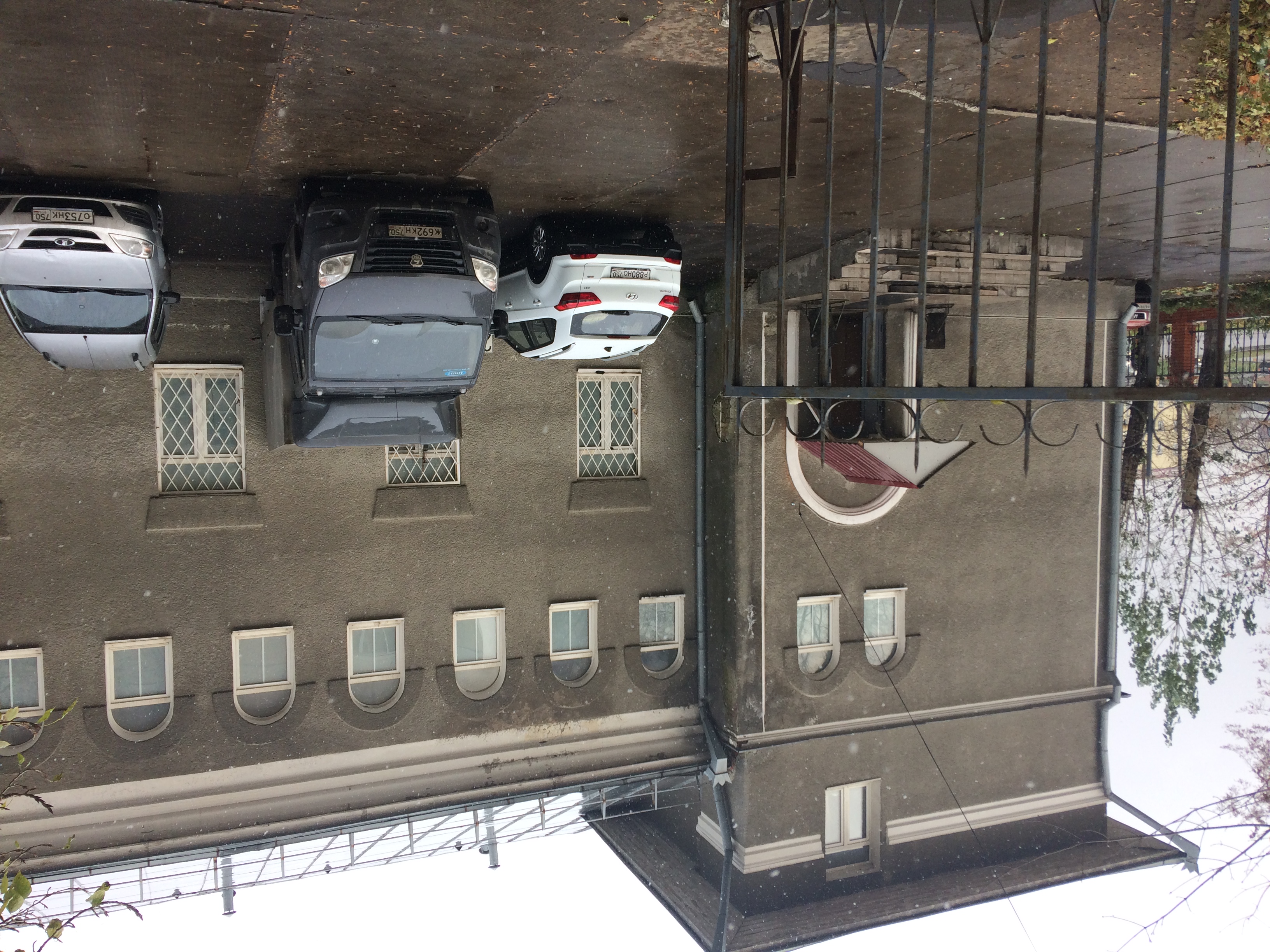 Фото Лакмус