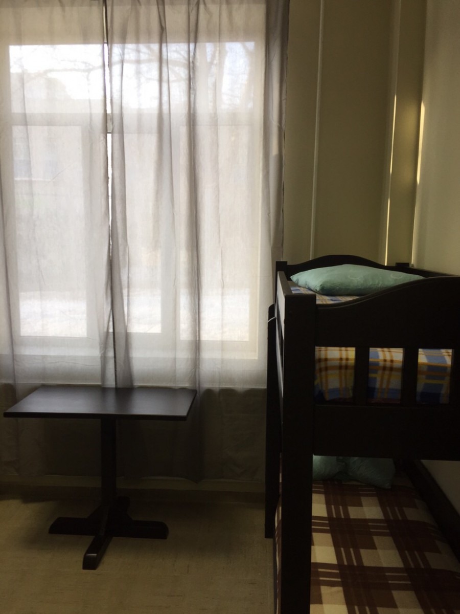 Фото Вежливый лось