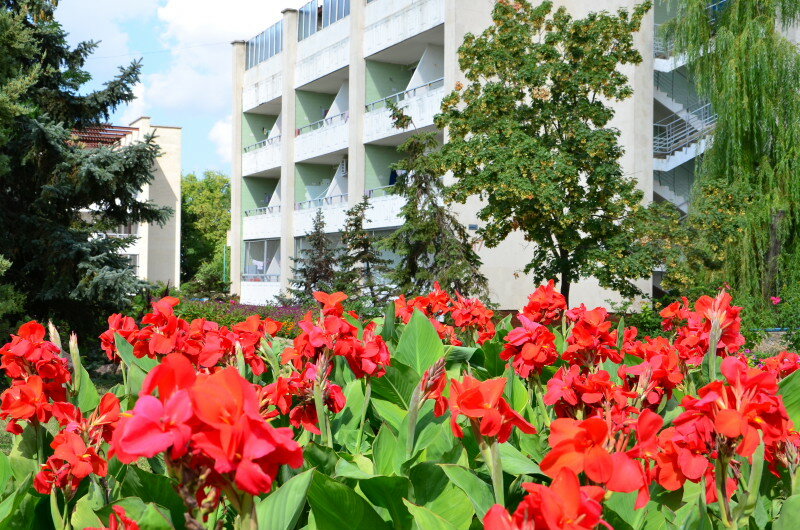 Summer camp Детский оздоровительный пансионат Россия, Evpatoria, photo