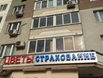 Om-Polis (Svyatoozyorskaya Street, 2), insurance broker