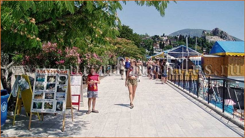 Фото Наутилус