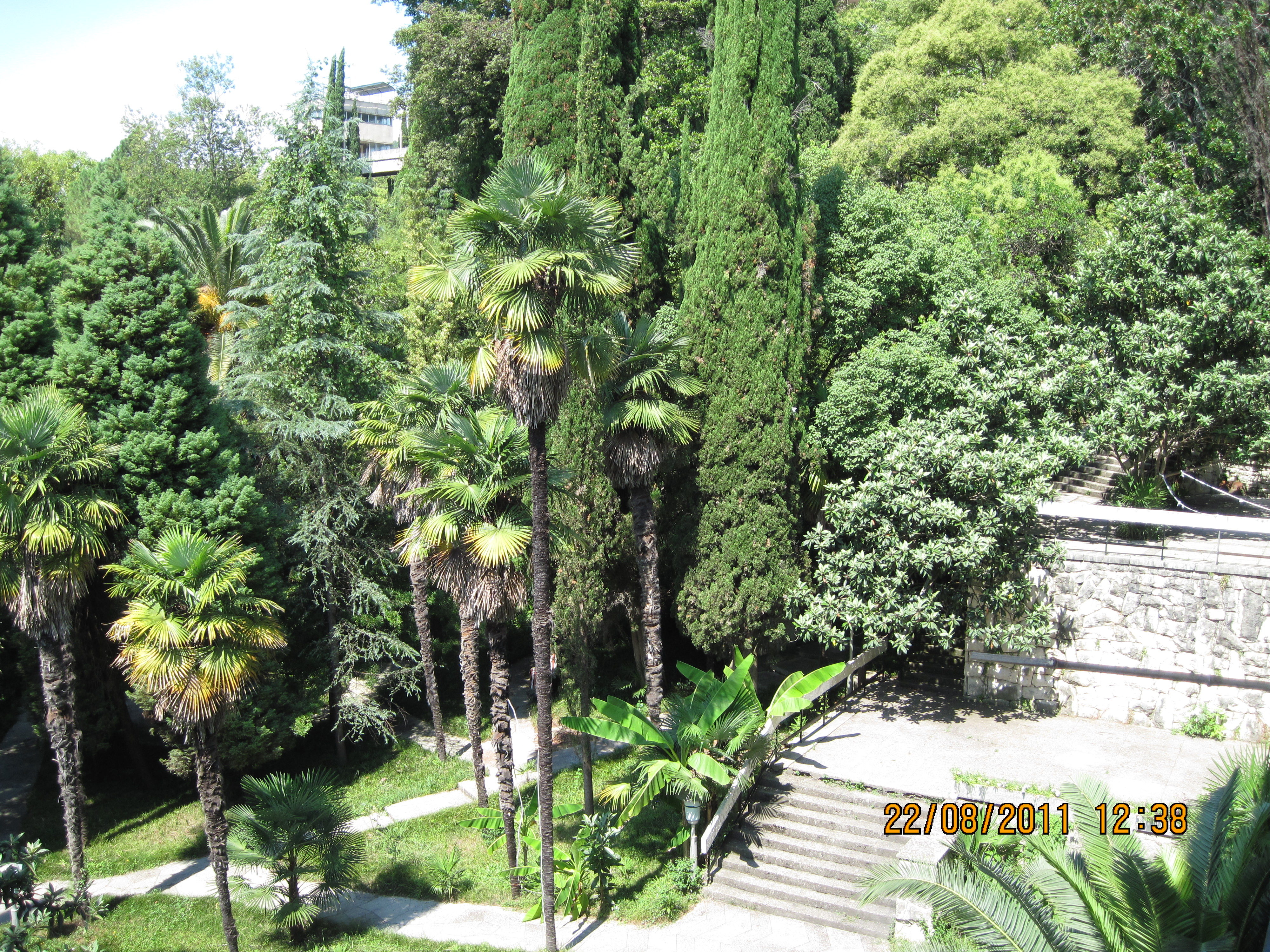 Фото Пансионат Гагра