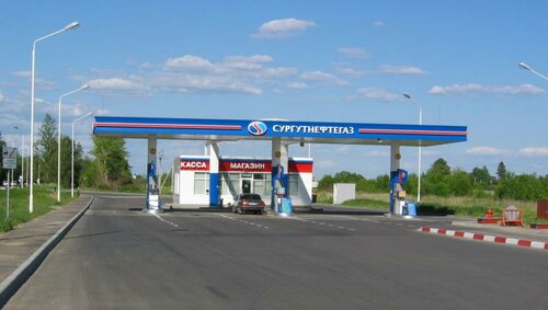 Gas station Pskovnefteprodukt, Pskov Oblast, photo