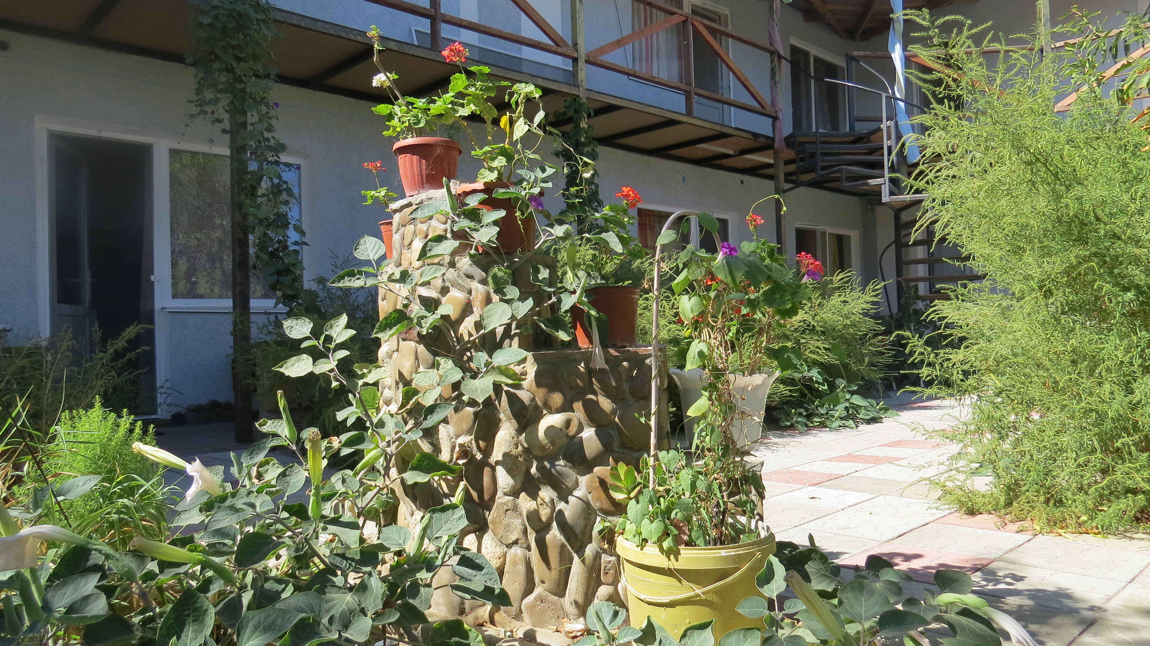 Фото Акварель