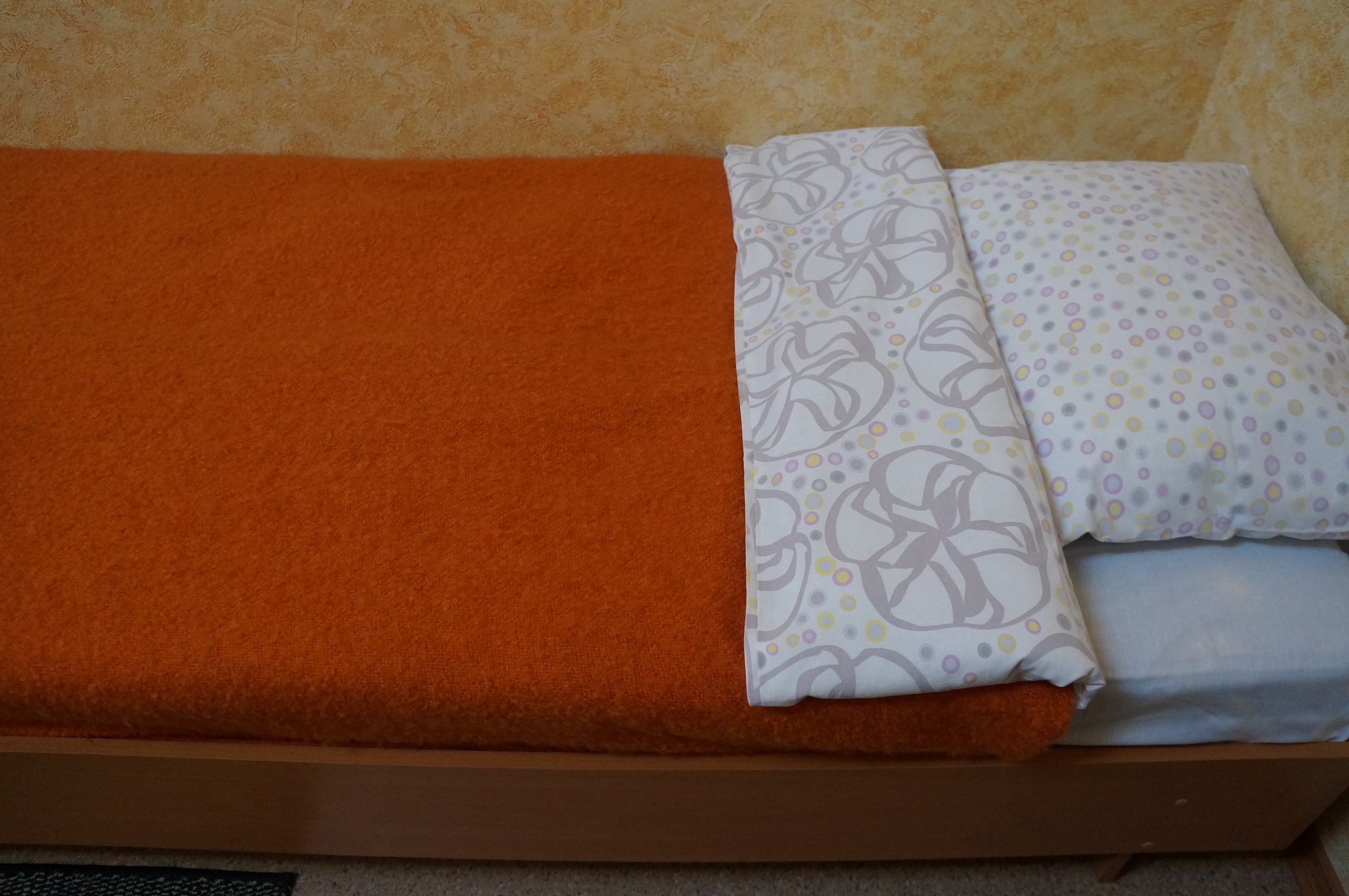 Фото Литвич