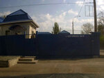 Torgovy Dom Baltika (Yevhena Malaniuka Street, 114Б) ، الأسماك والمأكولات البحرية