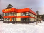 Lider (Mamina-Sibiryaka Street, 30), auto parts and auto goods store