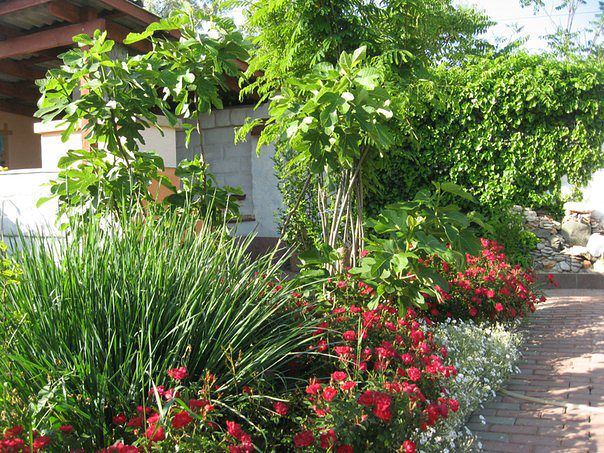 Фото Усадьба Сокол